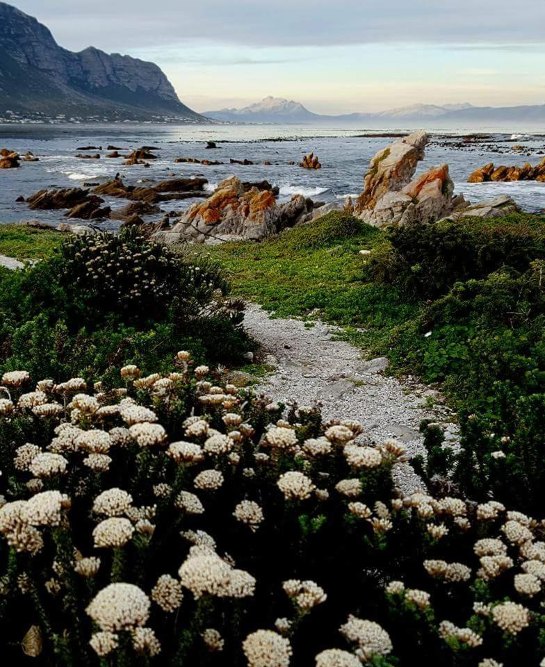 Klipwerf Bettys Bay Apartment Luaran gambar